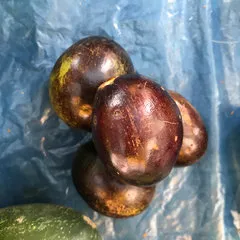 Ramiro Inuma Huansi