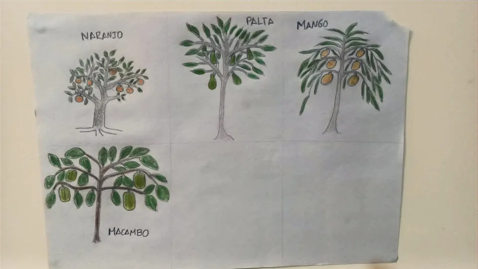 Árboles frutales Shawi