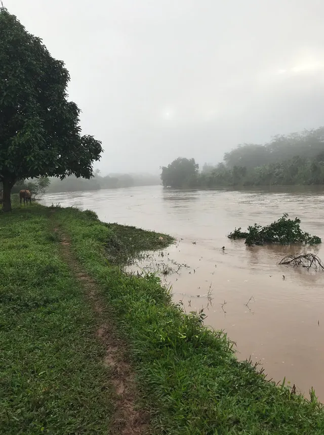 Inundación en la comunidad