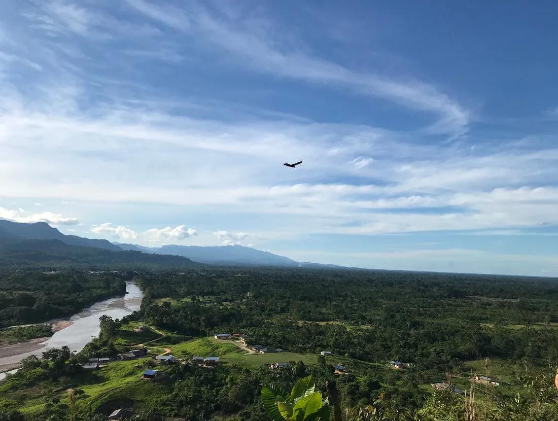 Paisaje Shawi con viento