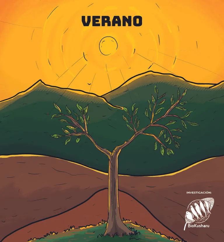 Ficha: Verano