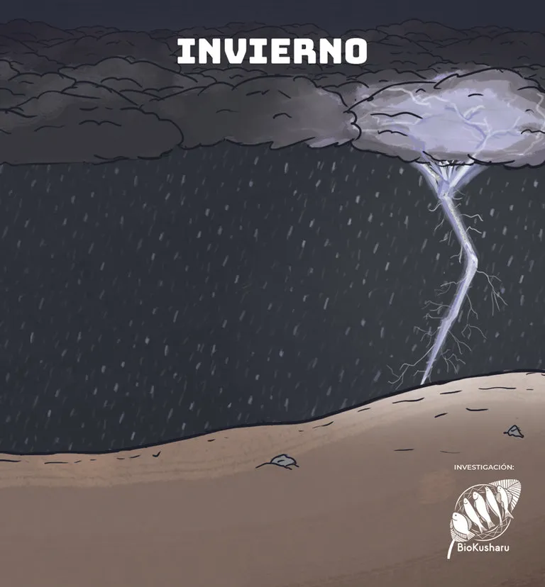 Ficha: Invierno